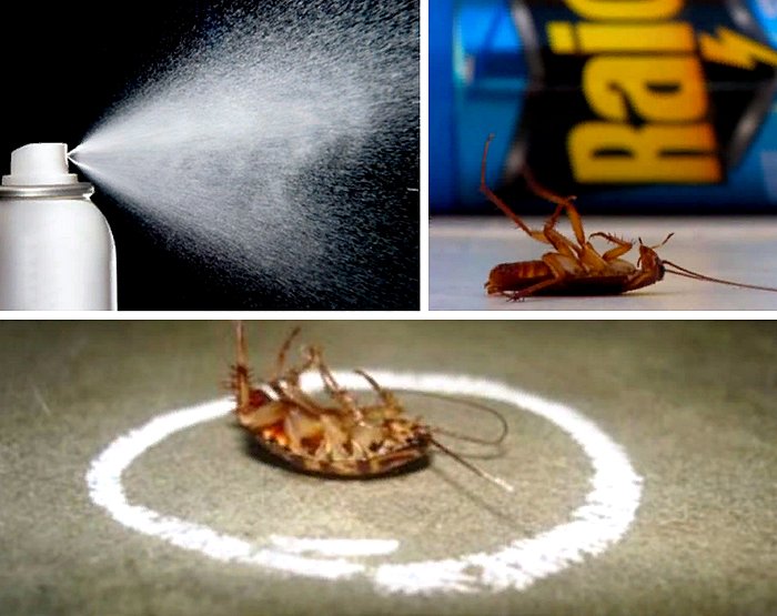 как избавиться от тараканов полностью