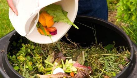 Как сделать компост правильно на даче — варианты приготовления удобрения